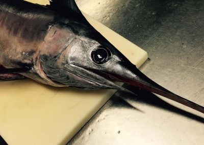 Pesce spada